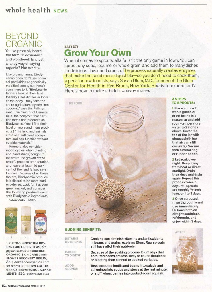 WholeLivingMarch2012-744x1024