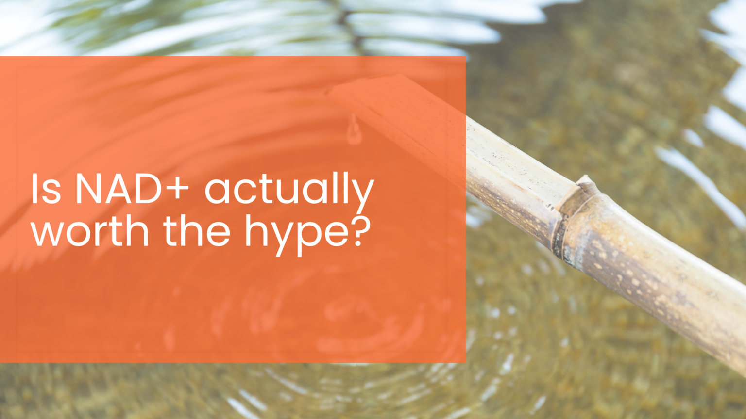 Functional Region: Is It Worth The Hype? - zzrtfmd