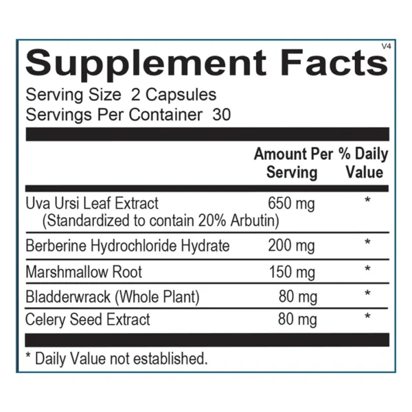 Cystistatin - Image 2
